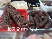 無題.png