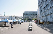toyosu.jpg